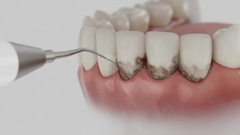 Reliable Dental contractor in St. Stephen, SC by Dentist Open Now